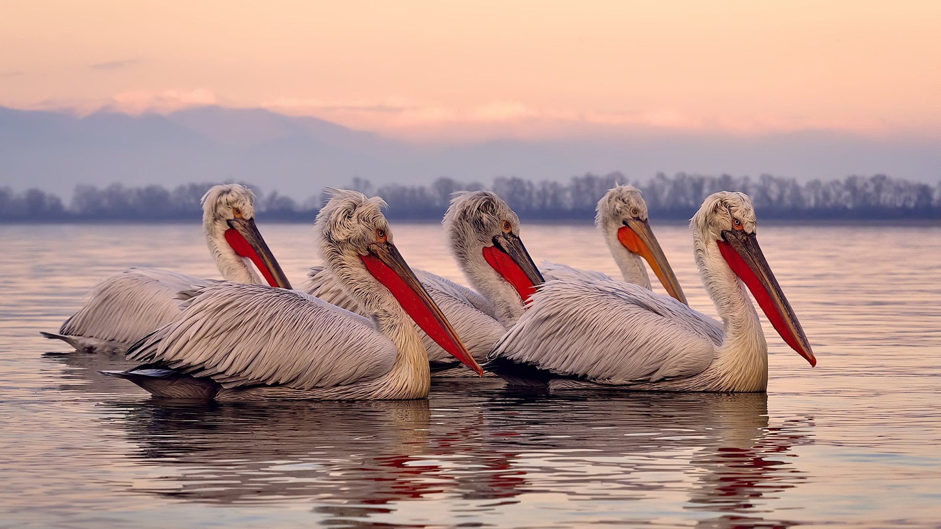 佛罗伦萨惨败揭中韩足球残酷差距!金玟哉独享亚洲后卫历史第一荣耀